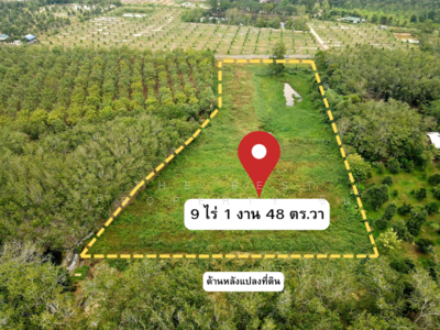 ขาย - ที่ดินแกลง ระยอง, ระยอง