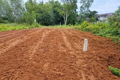 ขาย - ขายที่ดินเปล่า พร้อมถมให้ แบ่งขาย 140 ตารางวา อำเภอเมือง จังหวัดมุกดาหาร, มุกดาหาร