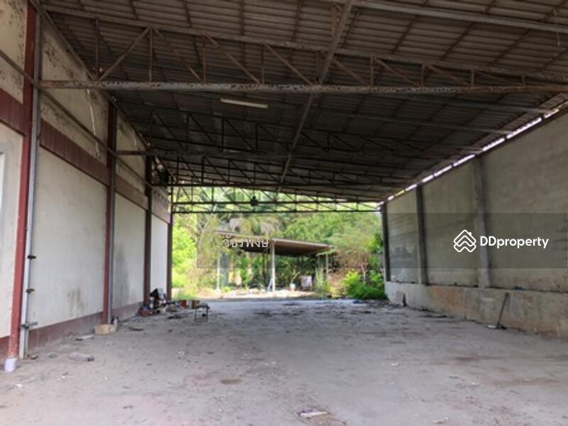 ขาย - โกดัง อำเภอท่าชนะ จังหวัดสุราษฎร์ธานี, สุราษฎร์ธานี