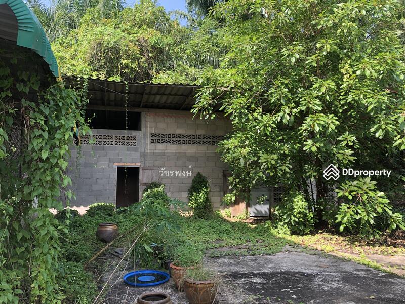 ขาย - โกดัง อำเภอท่าชนะ จังหวัดสุราษฎร์ธานี, สุราษฎร์ธานี