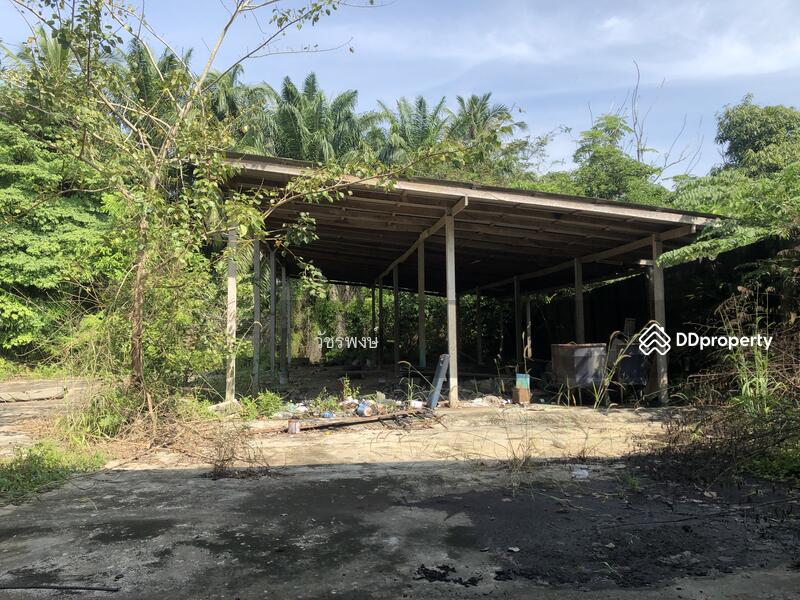 ขาย - โกดัง อำเภอท่าชนะ จังหวัดสุราษฎร์ธานี, สุราษฎร์ธานี