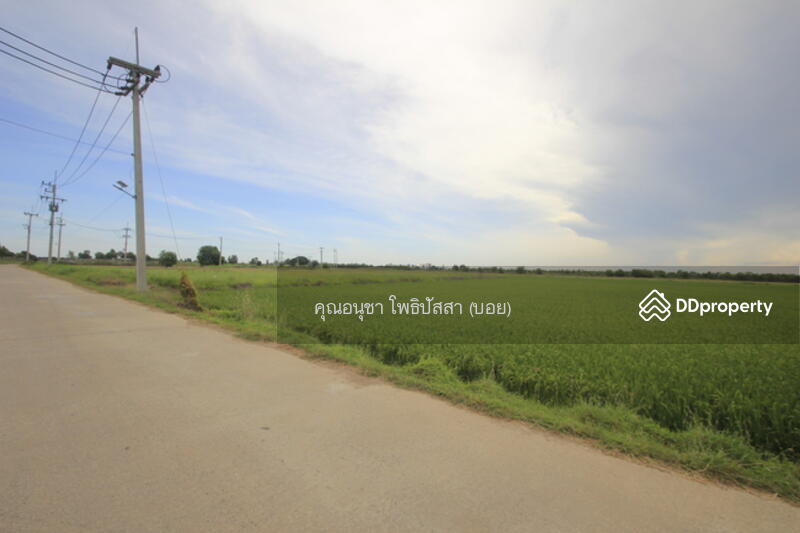For Sale - ที่ดิน บางไทรพระนครศรีอยุธยา ถนน3111 ปทุมธานี-สามโคก-เสนา ซ.วัดบางยี่โท ตำบลบางยี่โท, Phra Nakhon Si Ayutthaya