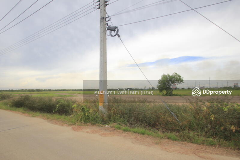 For Sale - ที่ดิน บางไทรพระนครศรีอยุธยา ถนน3111 ปทุมธานี-สามโคก-เสนา ซ.วัดบางยี่โท ตำบลบางยี่โท, Phra Nakhon Si Ayutthaya