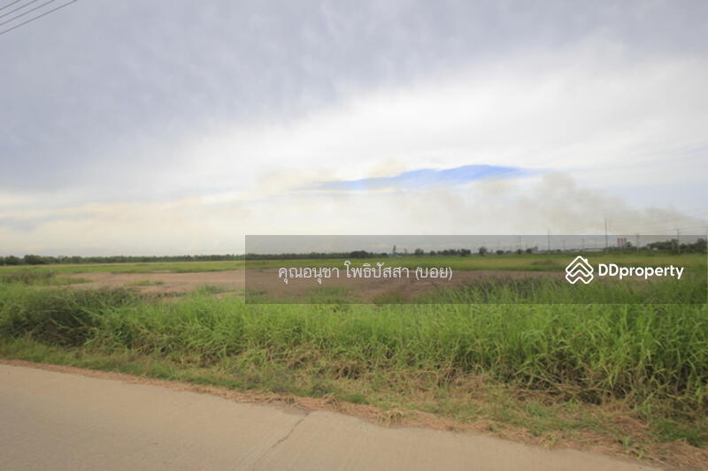 For Sale - ที่ดิน บางไทรพระนครศรีอยุธยา ถนน3111 ปทุมธานี-สามโคก-เสนา ซ.วัดบางยี่โท ตำบลบางยี่โท, Phra Nakhon Si Ayutthaya