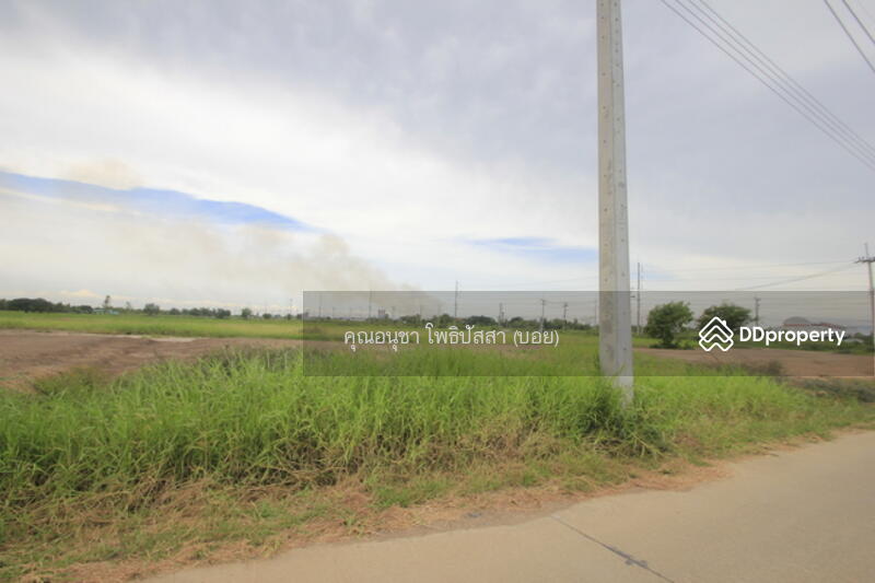 For Sale - ที่ดิน บางไทรพระนครศรีอยุธยา ถนน3111 ปทุมธานี-สามโคก-เสนา ซ.วัดบางยี่โท ตำบลบางยี่โท, Phra Nakhon Si Ayutthaya