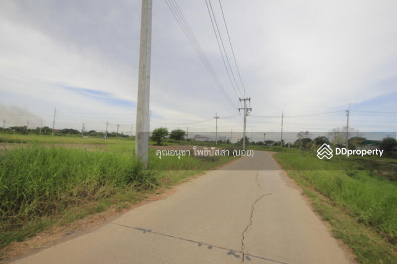 For Sale - ที่ดิน บางไทรพระนครศรีอยุธยา ถนน3111 ปทุมธานี-สามโคก-เสนา ซ.วัดบางยี่โท ตำบลบางยี่โท, Phra Nakhon Si Ayutthaya