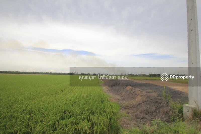 For Sale - ที่ดิน บางไทรพระนครศรีอยุธยา ถนน3111 ปทุมธานี-สามโคก-เสนา ซ.วัดบางยี่โท ตำบลบางยี่โท, Phra Nakhon Si Ayutthaya