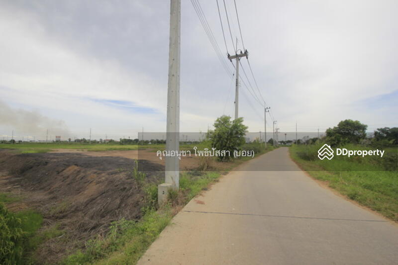 For Sale - ที่ดิน บางไทรพระนครศรีอยุธยา ถนน3111 ปทุมธานี-สามโคก-เสนา ซ.วัดบางยี่โท ตำบลบางยี่โท, Phra Nakhon Si Ayutthaya
