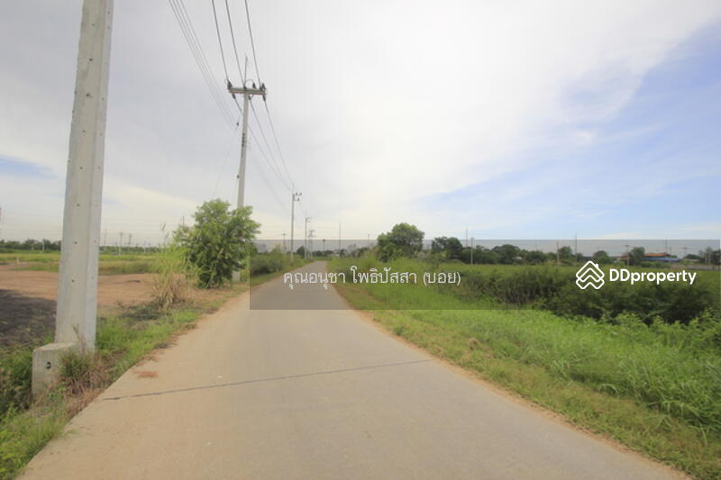 For Sale - ที่ดิน บางไทรพระนครศรีอยุธยา ถนน3111 ปทุมธานี-สามโคก-เสนา ซ.วัดบางยี่โท ตำบลบางยี่โท, Phra Nakhon Si Ayutthaya