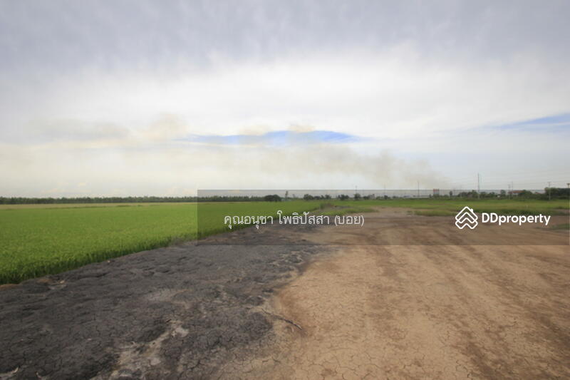For Sale - ที่ดิน บางไทรพระนครศรีอยุธยา ถนน3111 ปทุมธานี-สามโคก-เสนา ซ.วัดบางยี่โท ตำบลบางยี่โท, Phra Nakhon Si Ayutthaya