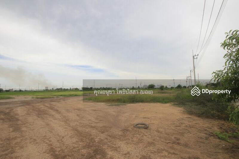 For Sale - ที่ดิน บางไทรพระนครศรีอยุธยา ถนน3111 ปทุมธานี-สามโคก-เสนา ซ.วัดบางยี่โท ตำบลบางยี่โท, Phra Nakhon Si Ayutthaya