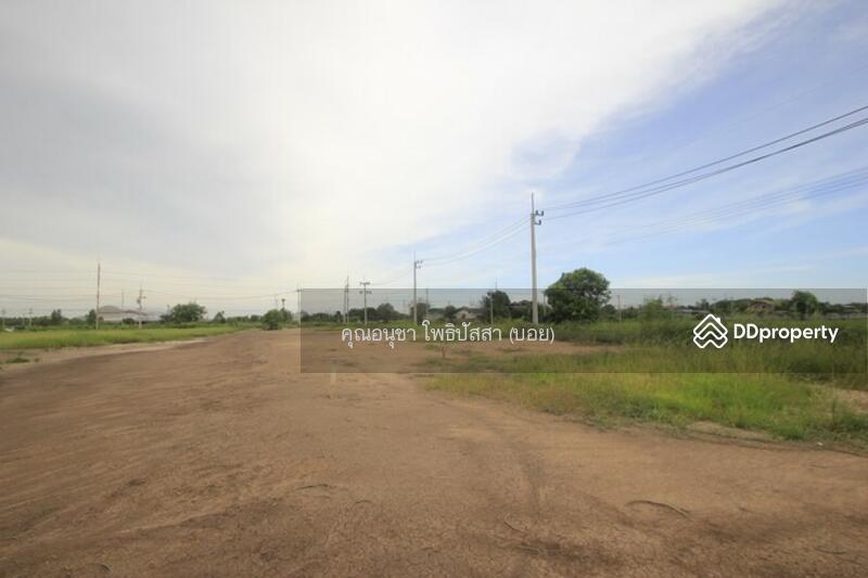 For Sale - ที่ดิน บางไทรพระนครศรีอยุธยา ถนน3111 ปทุมธานี-สามโคก-เสนา ซ.วัดบางยี่โท ตำบลบางยี่โท, Phra Nakhon Si Ayutthaya