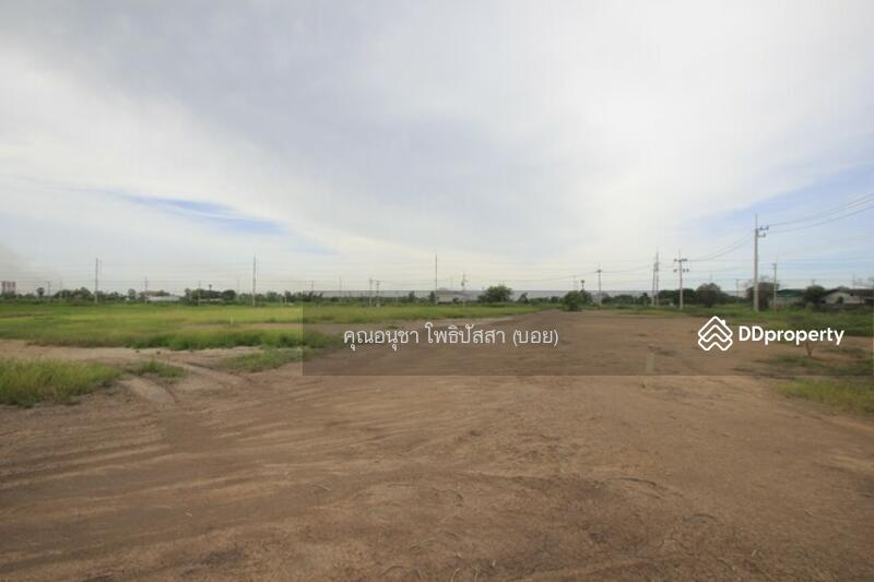 For Sale - ที่ดิน บางไทรพระนครศรีอยุธยา ถนน3111 ปทุมธานี-สามโคก-เสนา ซ.วัดบางยี่โท ตำบลบางยี่โท, Phra Nakhon Si Ayutthaya