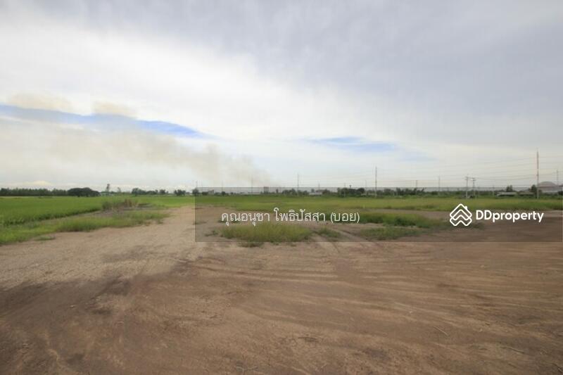 For Sale - ที่ดิน บางไทรพระนครศรีอยุธยา ถนน3111 ปทุมธานี-สามโคก-เสนา ซ.วัดบางยี่โท ตำบลบางยี่โท, Phra Nakhon Si Ayutthaya