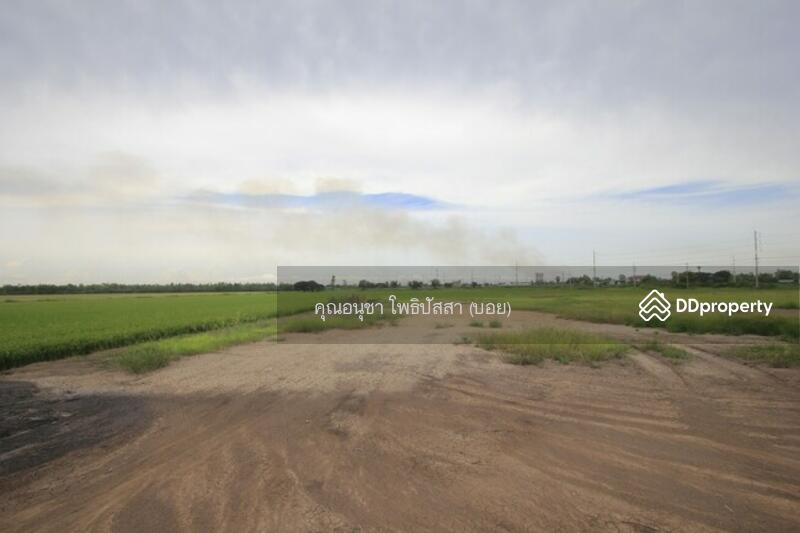For Sale - ที่ดิน บางไทรพระนครศรีอยุธยา ถนน3111 ปทุมธานี-สามโคก-เสนา ซ.วัดบางยี่โท ตำบลบางยี่โท, Phra Nakhon Si Ayutthaya