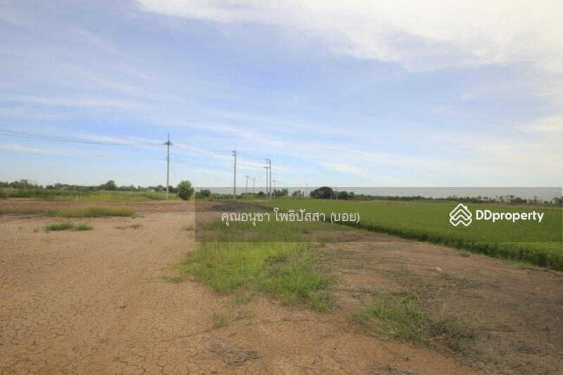 For Sale - ที่ดิน บางไทรพระนครศรีอยุธยา ถนน3111 ปทุมธานี-สามโคก-เสนา ซ.วัดบางยี่โท ตำบลบางยี่โท, Phra Nakhon Si Ayutthaya