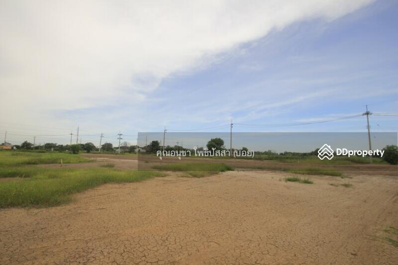 For Sale - ที่ดิน บางไทรพระนครศรีอยุธยา ถนน3111 ปทุมธานี-สามโคก-เสนา ซ.วัดบางยี่โท ตำบลบางยี่โท, Phra Nakhon Si Ayutthaya