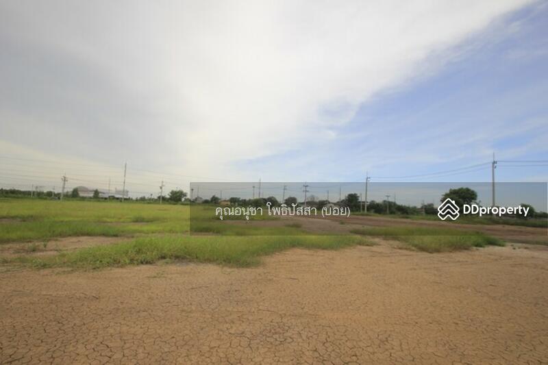 For Sale - ที่ดิน บางไทรพระนครศรีอยุธยา ถนน3111 ปทุมธานี-สามโคก-เสนา ซ.วัดบางยี่โท ตำบลบางยี่โท, Phra Nakhon Si Ayutthaya