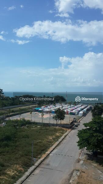 ให้เช่า - Acqua Condo : แอคควา คอนโด, ชลบุรี