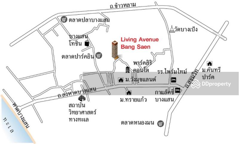 ขาย - Living Avenue Bangsaen : ลิฟวิ่ง อเวนิว บางแสน, ชลบุรี