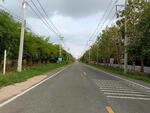 ขายที่ดินโป่ง พัทยา 4 ไร่ ติดถนนสันติคาม4094ใกล้ถนนเส้นมอเตอร์เวย์7-2กม. อ.บางละมุง, ชลบุรี