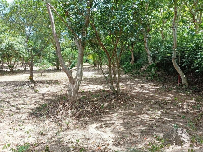 Land for sale in Pong, Pattaya, 4 rai, next to Santikam Road 4094, near the motorway, 7-2 km,, Chon Buri (Pattaya), Poong, Bang Lamung (Pattaya), Chon Buri (Pattaya), , 7,816 sqm, Land For Sale, by RICHWELL INTERPLUS, 60106084 - DDproperty.com