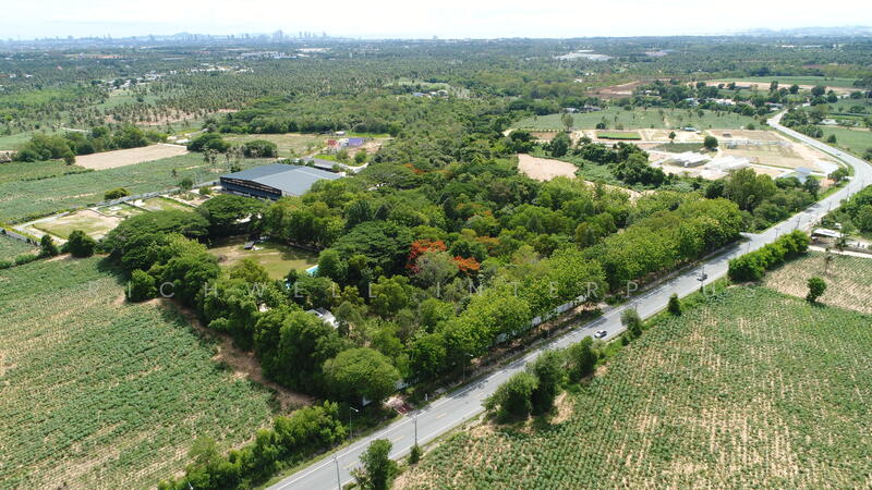 Land for sale in Pong, Pattaya, 4 rai, next to Santikam Road 4094, near the motorway, 7-2 km,, Chon Buri (Pattaya), Poong, Bang Lamung (Pattaya), Chon Buri (Pattaya), , 7,816 sqm, Land For Sale, by RICHWELL INTERPLUS, 60106084 - DDproperty.com