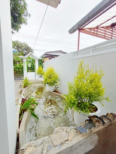 ต.หนองหอย, เชียงใหม่, หนองหอย, เมืองเชียงใหม่, เชียงใหม่, 160 ตร.ม., บ้านเดี่ยว ให้เช่า, โดย วุฒิภัทร มิ่งคำ, 60106122 - DDproperty.com