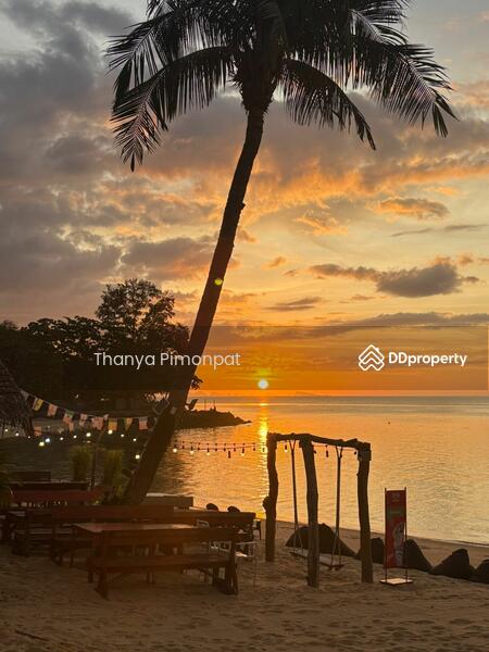 ให้เช่า - 3 ห้องนอนริมชายหาดในบางโพ, สุราษฎร์ธานี