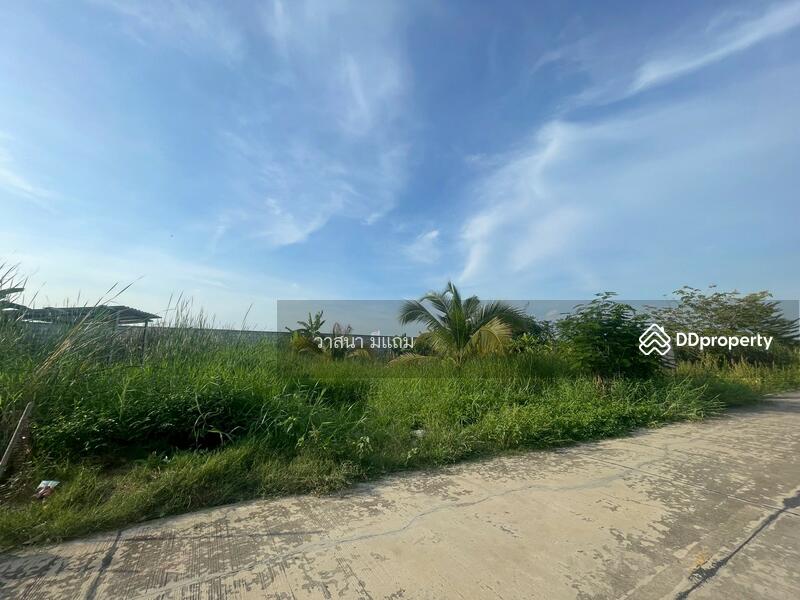 ขาย - ที่ดิน ลำลูกกา คลอง 8, ปทุมธานี