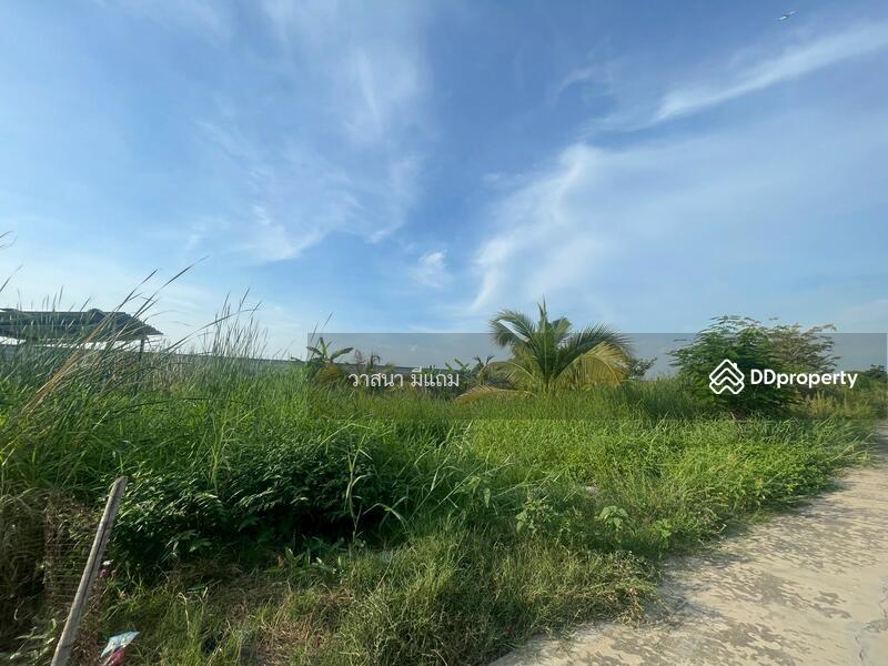 ขาย - ที่ดิน ลำลูกกา คลอง 8, ปทุมธานี
