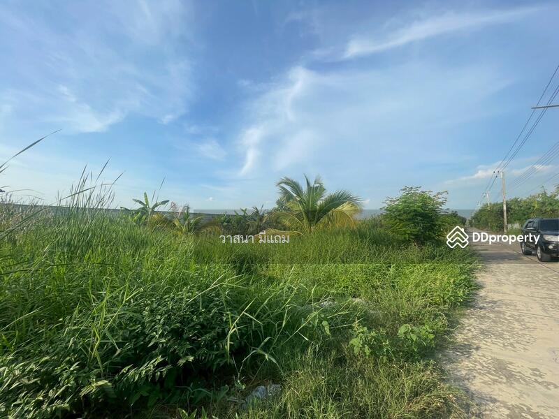 ขาย - ที่ดิน ลำลูกกา คลอง 8, ปทุมธานี