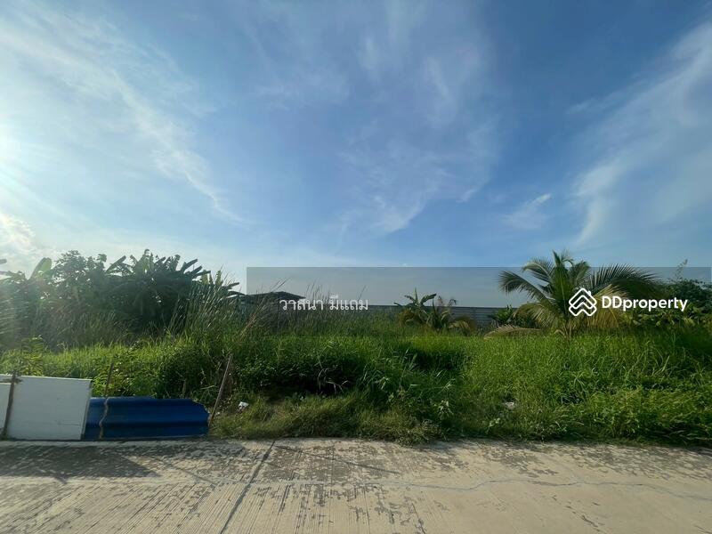 ขาย - ที่ดิน ลำลูกกา คลอง 8, ปทุมธานี