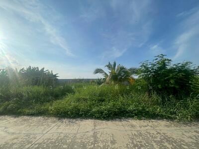 ขาย - ที่ดิน ลำลูกกา คลอง 8, ปทุมธานี