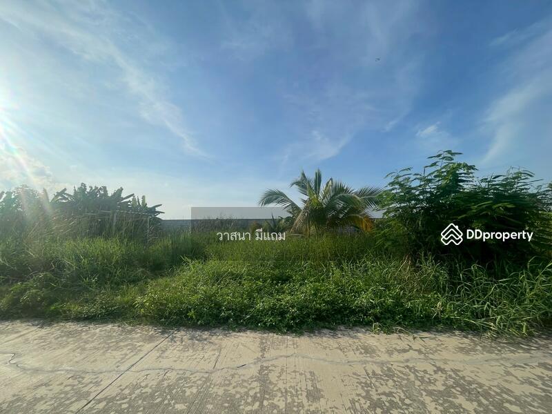 ขาย - ที่ดิน ลำลูกกา คลอง 8, ปทุมธานี