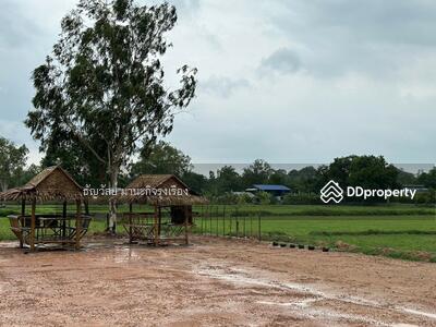 ขาย - ที่ดิน นครนายก เขาพระ, นครนายก