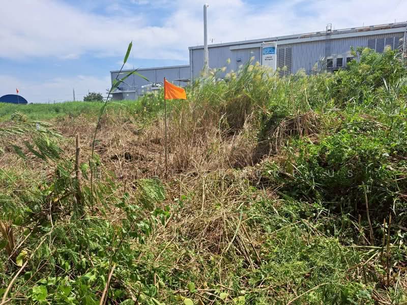 ขายที่ดินบ้านเก่าซอย13 สีม่วงลายพานทอง 19 ไร่ ติดนิคมอมตะ, Chon Buri (Pattaya), Ban Khao, Phan Thong, Chon Buri (Pattaya), , 30,564 sqm, Land For Sale, by RICHWELL INTERPLUS, 60106861 - DDproperty.com