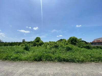 ขาย - ขายด่วน! ที่ดินเปล่า 200 ตร.ว. หมู่บ้านปิ่นทองแลนด์ แฟคทอรี่ อ.บางบัวทอง จ.นนทบุรี, นนทบุรี