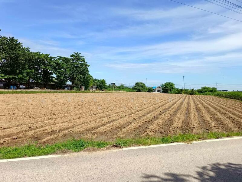 ขาย - ขาย ที่ดินเปล่า แปลงมุม 2 ไร่ วังศาลา ท่าม่วง - ใกล้มอเตอร์เวย์ บางใหญ่-กาญจนบุรี ติดถนนสาธารณะ, กาญจนบุรี