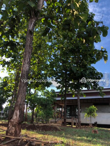 ขาย - บ้าน 3-ห้องนอน, เชียงใหม่