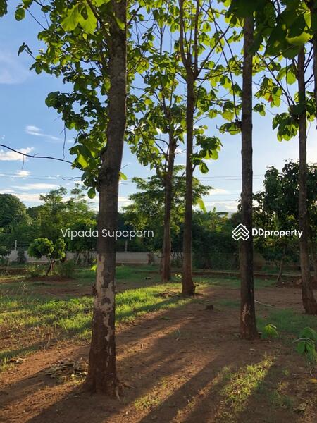 ขาย - บ้าน 3-ห้องนอน, เชียงใหม่