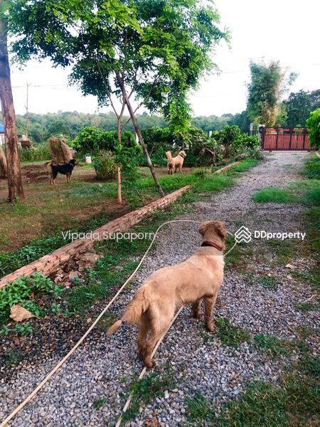 ขาย - บ้าน 3-ห้องนอน, เชียงใหม่