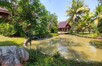 ขาย - บ้าน 5-ห้องนอน, เชียงใหม่