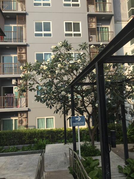 The Trust Residence Central Pattaya, Chon Buri (Pattaya), Na Kloe, Bang Lamung (Pattaya), Chon Buri (Pattaya), 1 Bedroom, 30 sqm, Condo For Sale, by อาทิตยา จินตะเหวก, 60108098 - DDproperty.com