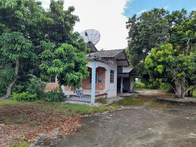 ขาย - นอกโครงการเชียงใหม่, เชียงใหม่