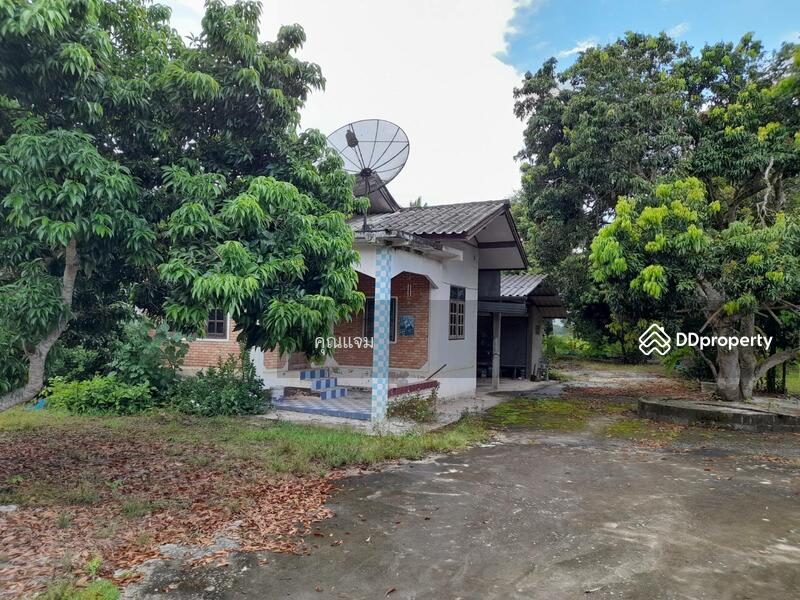 For Sale - นอกโครงการเชียงใหม่, Chiang Mai