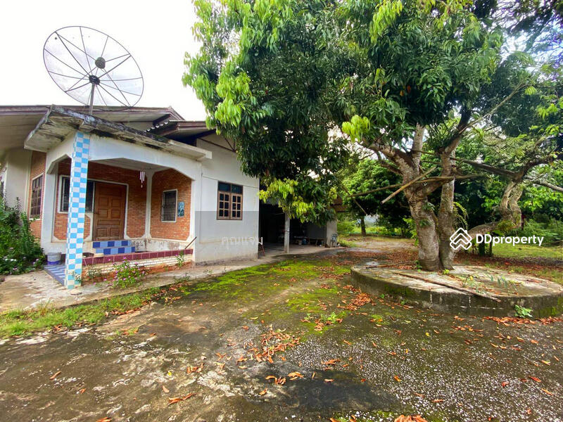 For Sale - นอกโครงการเชียงใหม่, Chiang Mai
