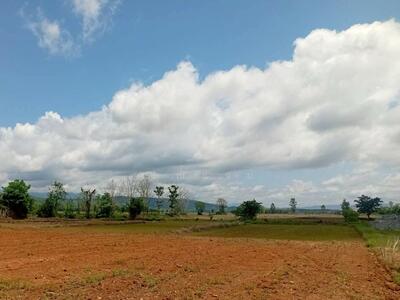 ขาย - ที่ดินว่างเปล่าเชียงราย, เชียงราย