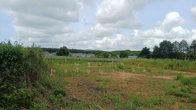 ขาย - ขายที่ดินเปล่า เนื้อที่ 195.9 ตารางวา ตำบลพนานิคม อำเภอนิคมพัฒนา จังหวัดระยอง, ระยอง