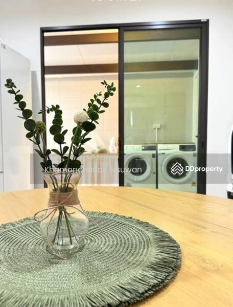 For Rent - Arte Urban - Suthep, Chiang Mai